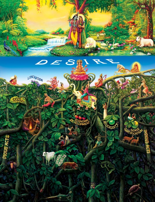 Banyan tree  Plate35